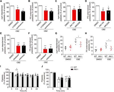 <mark class="highlighted">Carbamazepine</mark> Induces Platelet Apoptosis and Thrombocytopenia Through Protein Kinase A